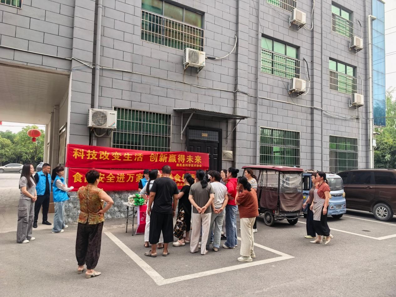 图片6