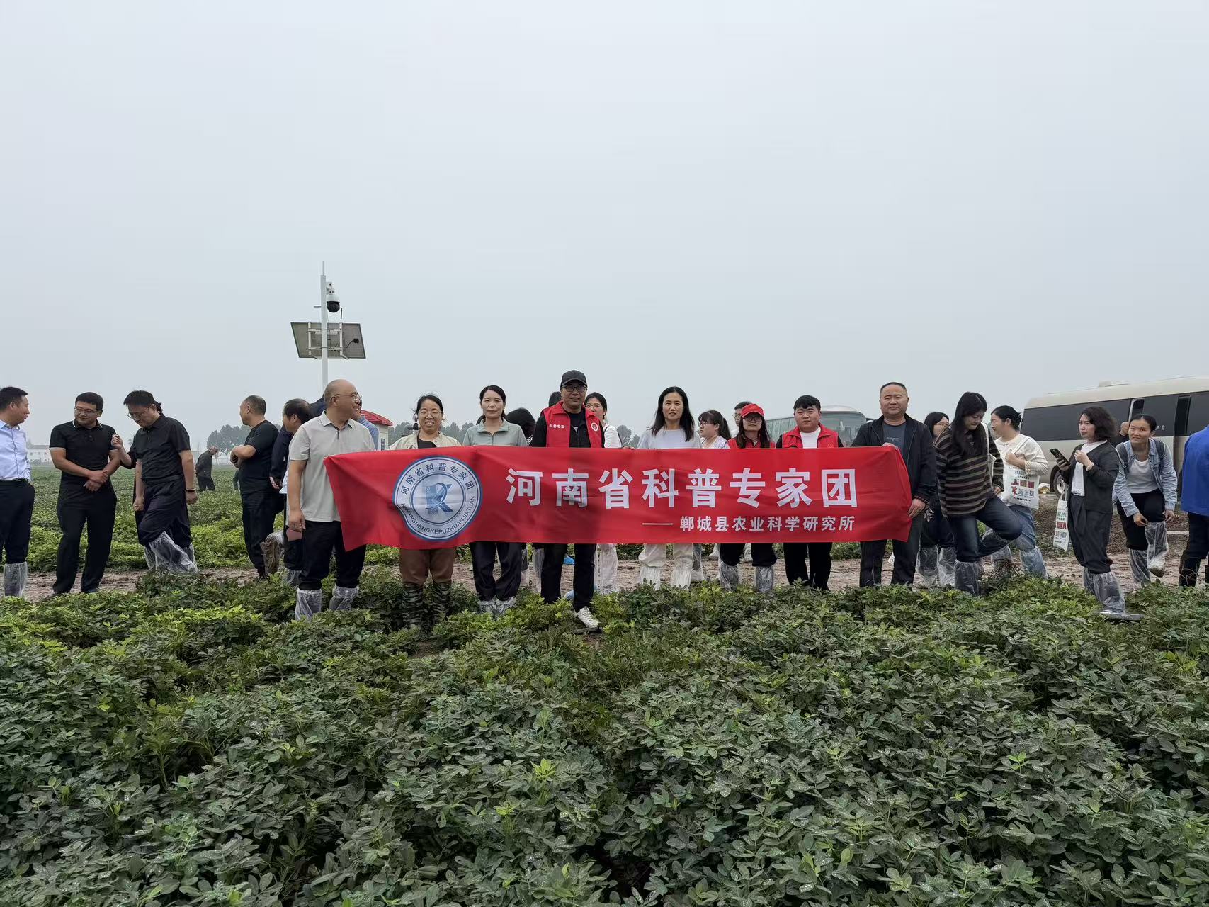 图片5