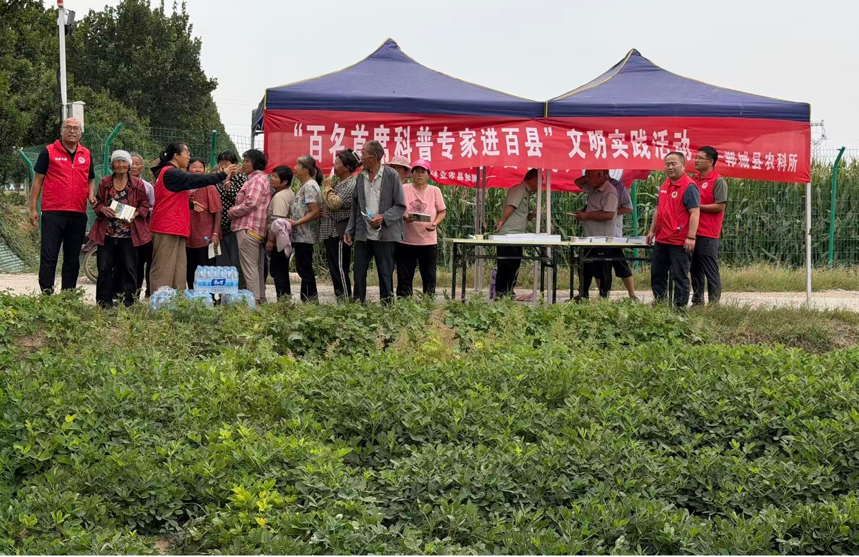 图片3